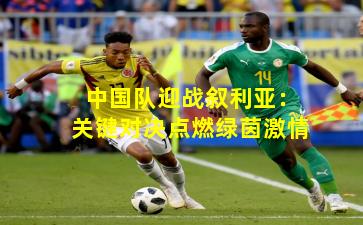 中国队迎战叙利亚：关键对决点燃绿茵激情