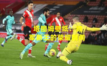  塔图姆壁纸：绿军新王的荣耀瞬间