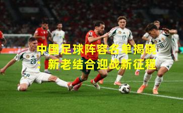 中国足球阵容名单揭晓：新老结合迎战新征程