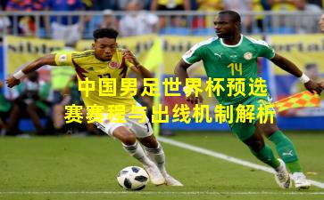 中国男足世界杯预选赛赛程与出线机制解析