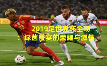 2019足世界杯全场：绿茵盛宴的荣耀与激情