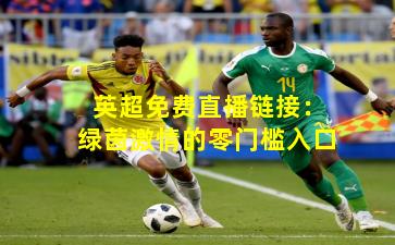 英超免费直播链接：绿茵激情的零门槛入口