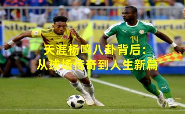 天涯杨鸣八卦背后：从球场传奇到人生新篇