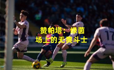  赞帕塔：绿茵场上的无畏斗士