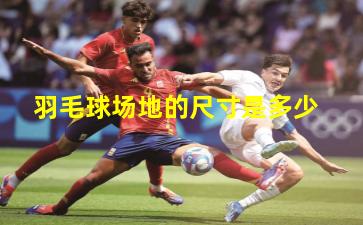 羽毛球场地的尺寸是多少