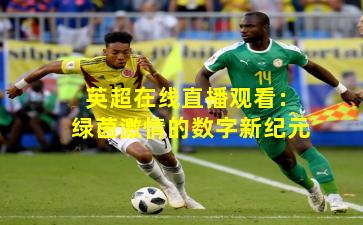 英超在线直播观看：绿茵激情的数字新纪元